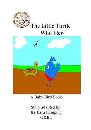 The Little Turtle Who Flew