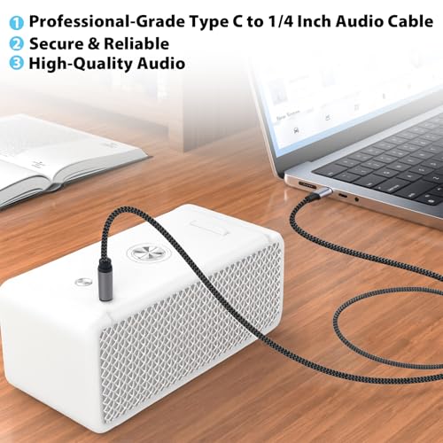 Cable USB C a Audio 1/4" TRS 3.3ft miniatura 2