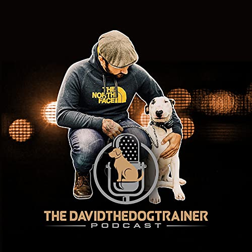 The Davidthedogtrainer Podcast 5: David & Josh (TikTok Trend Dogs Talking & What Do Dog Owners ACTUALLY Want?) Podcast Por  arte de portada