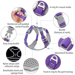   Plutus-Pet-No-Pull-Dog-Harness-Release-At-Neck-Reflective-Adjustable-Dog-Vest-Harness-Easy-Control-Handle-for-Walking-for-Small-Medium-Large-Dogs-Purple-M