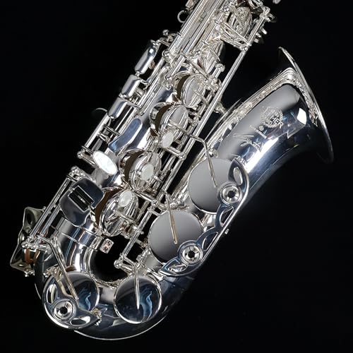 H.Selmer SIGNATURE AS/Silver Pated(彫刻入り) E♭アルトサックス セルマー