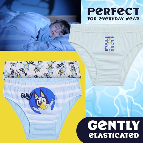 Bluey Boys Briefs, Soft Breathable Underwear Pack of Underpants - Gifts for Boys4