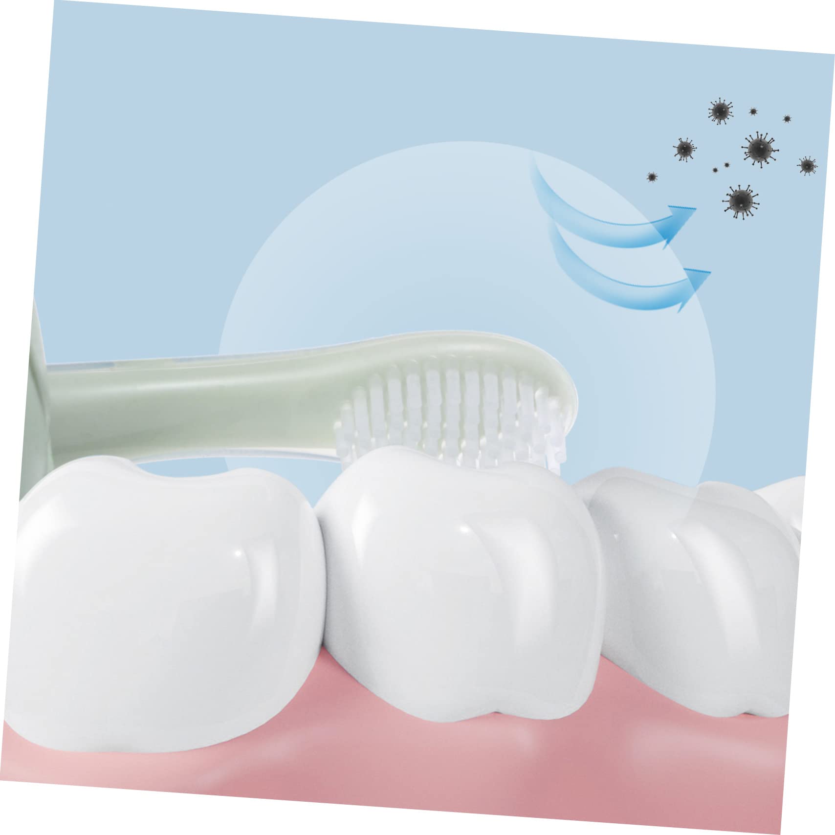 Ipetboom 3sets Spazzolini Per Spazzolino Morbido Per La Pulizia Dei Denti Design Compatto e Sicuro Per Gengive Sensibili