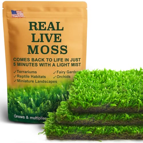 Real Live Hypnum Moss (8'x8') &ndash; Natural Sheet Moss for Terrariums, Bonsai, Reptile Habitats...