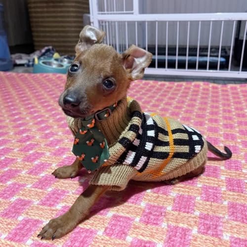 Dog and Cat Jumper, Stylish Warm Plaid Sweater for Small Dogs, Knitted Puppy Pullover Vest for Autumn and Winter, Soft Turtleneck Pet Apparel for Kitten, Teacup Poodles, Chihuahuas, M - Image 6
