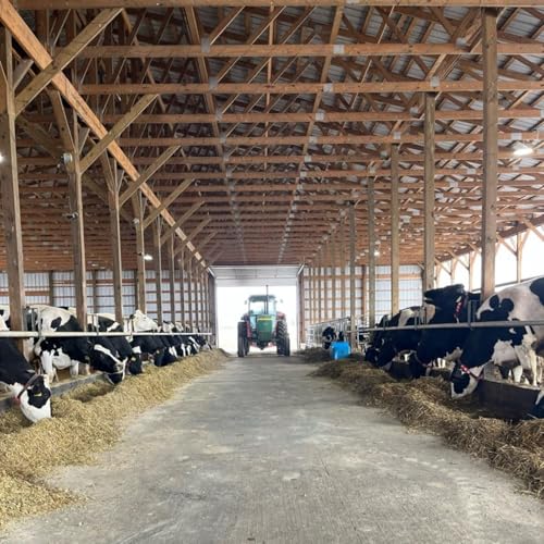 Episode 4, Federal Milk Marktign Orders: let&rsquo;s break it down!