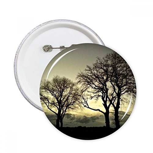 Sciences nature paysage pins d&eacute;coration v&ecirc;tements rando