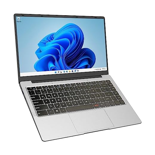 Notebook Intel Celeron 4GB DDR4 SSD 128GB Tela 14.1" Full HD Windows 11 Professional Prata HQ Joy NHJ-W11H-CE1