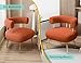 SEYNAR Mid Century Sherpa Boucle Accent Chair, Round Upholstered Barrel Arm Chair for Small Spaces, Fluffy Side Corner Sofa Chair for Living Room, Bedroom, Vanity, Office, Reading Nook(Orange)
