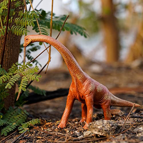 Image of Realistic T Rex Dinosaur Animal Figure for Kids Real Textured Dinosaurs Toy (Brachiosaurus (14F))