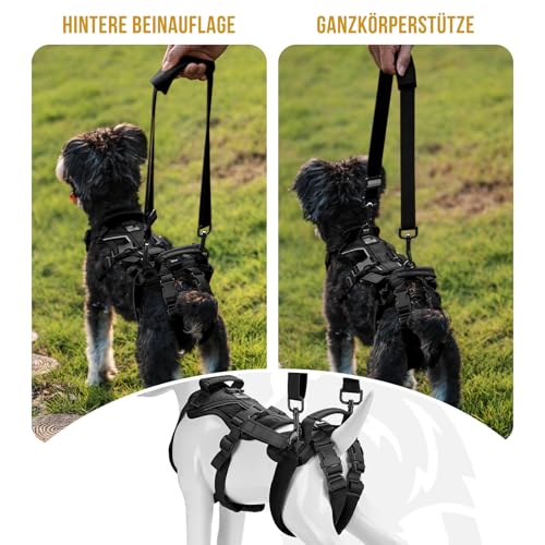 OneTigris Hundegeschirr, Hopper Kleines Unterstützung Geschirr Einstellbares Hebegeschirr mit 2 Griffen für Unterstützung und Rehabilitation Geeignet für Kleiner Hund Schwarz XS