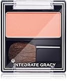 �C���e�O���[�g �O���C�V�B �`�[�N�J���[ ���b�h300