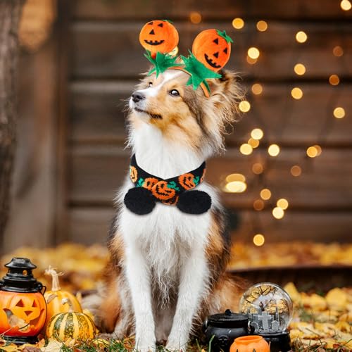Disfraz Halloween para perro mediano 3 piezas miniatura 6