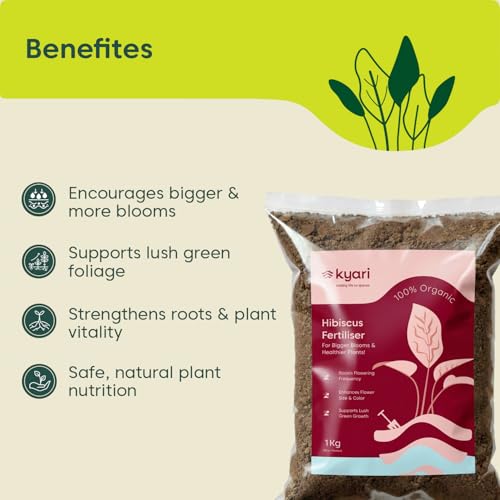Image of Kyari Hibiscus (Gudhal) Fertilizer for Flowering Plants 1kg | Plant Food for Bigger Blooms, Greener Leaves & Stronger Roots | Nutrient-Rich Fertilizer for Home Garden Plants