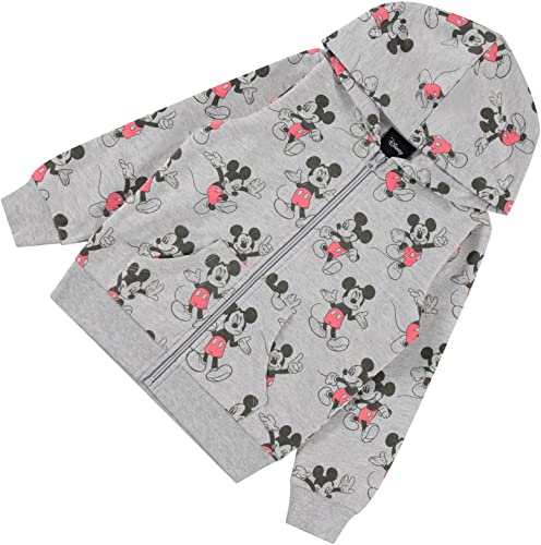 Boys Toddler Mickey Mouse Hoodie - Mickey Mouse Classic Toddler Boys Zip Hoodie (Heather, 2T) #TOP5