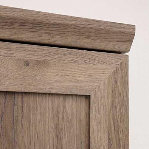 Sauder Homeplus Storage Cabinet, Salt Oak Finish #TOP4