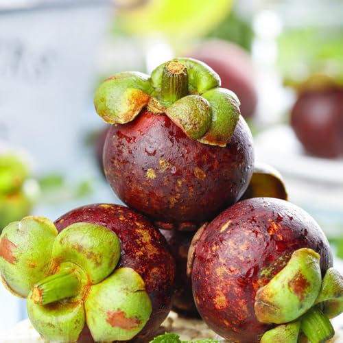 Mangostan Fruta Marca Generic