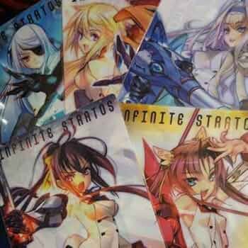 インフィニット・ストラトス アニメ 化 決定 A4 クリアファイル 希少 インフィニット・ストラトス アニメ 化 決定 A4 クリアファイル 希少