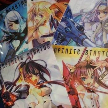 Amazon.co.jp: IS インフィニット・ストラトス ライトノベル表紙