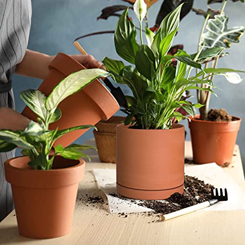 Condition photo showing New/Like New for d'vine dev terracotta plant pot with saucer, 6 inch, 40-x-a-3