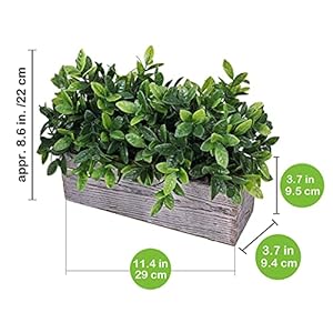 Artificialeucalyptusplantinrusticrectangularwoodenplanterboxfauxpottedherbplantgreeneryarrangementforfarmhouseindoorweddingtablecenterpiecemantelshelfkitchendecor Urban Country Home Decor Artificial eucalyptus plant in rustic rectangular wooden planter box faux potted herb plant greenery arrangement for farmhouse indoor wedding table centerpiece mantel shelf kitchen decor urban country home decor