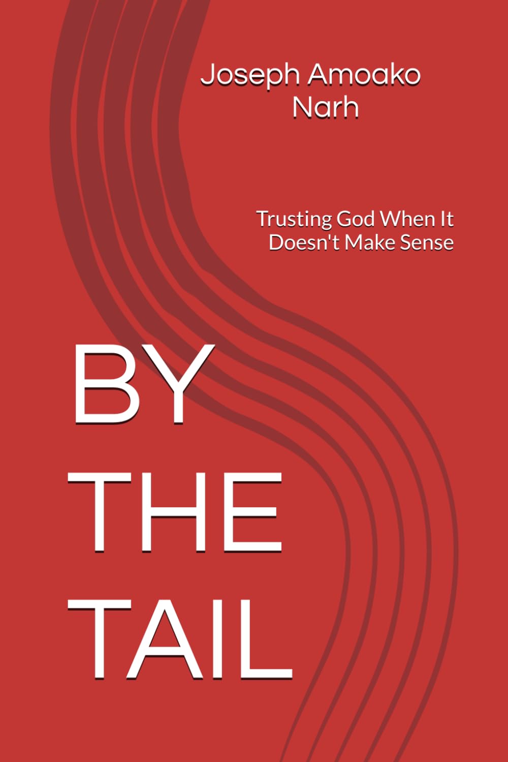 BY THE TAIL: Trusting God When It Doesn't Make Sense