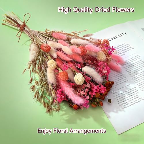 Set de flores secas naturales DIY Bulk Boho flores rosa miniatura 4