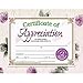 Hayes Certificate of Appreciation, 8.5" x 11", Pack of 30