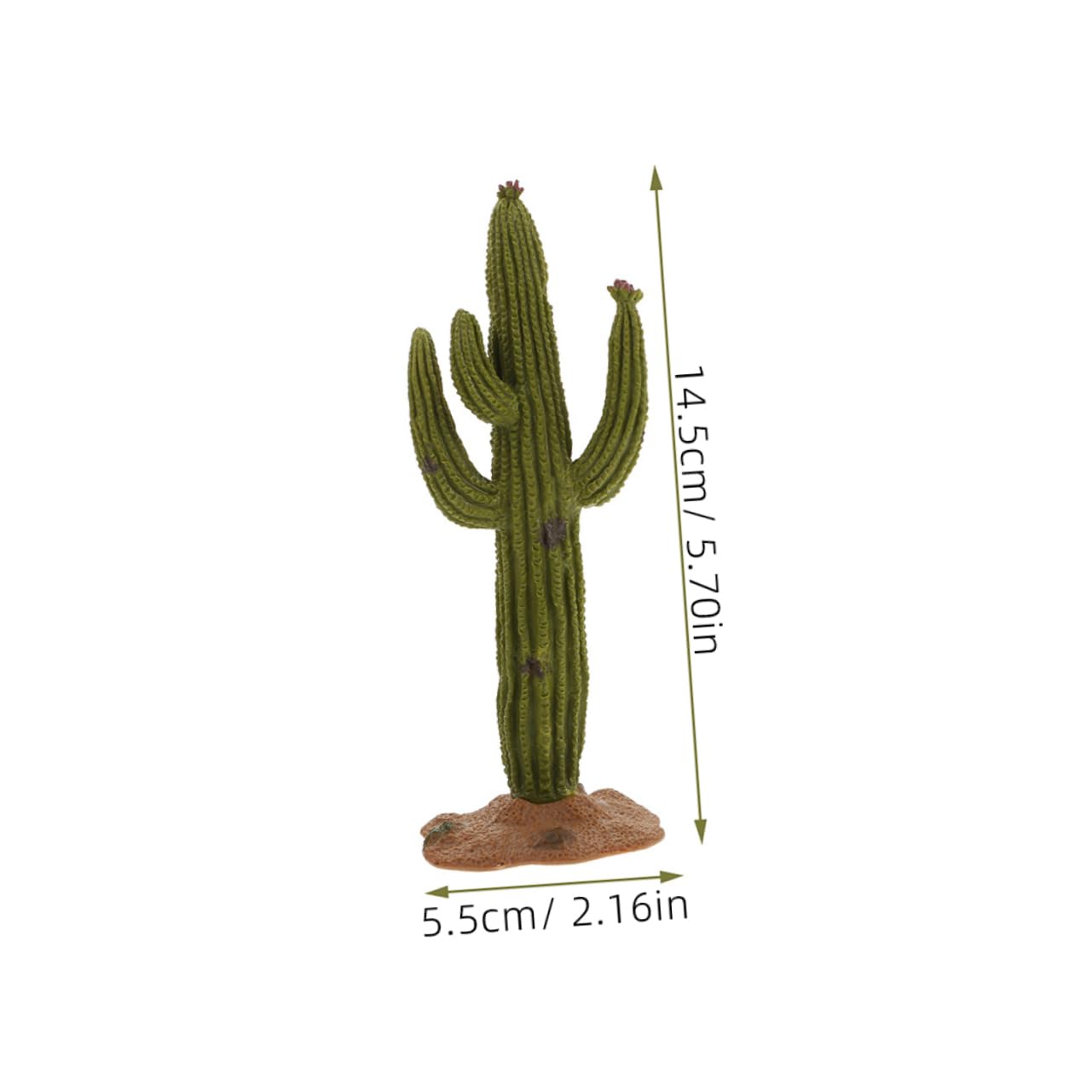 CLISPEED Cactus Artificiel 2 Pièces Décoration De Bureau Et Terrarium Plantes Succulentes Simulées 5.5 Pouces Matériau PVC pour Maison Jardin Et Bureau