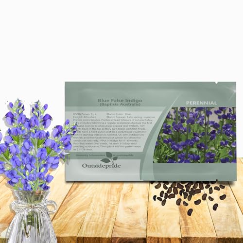 Outsidepride Blue False Indigo Seeds for Planting - 100 Pcs Perennial Flowers with Tall Growth Habit, Cold Tolerant, Nitrogen-Fixing Legume Plants, for Cooler Climates, & Pollinator Gardens
