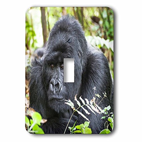 3dRose lsp_276525_1 AtJA_AΎRNP.Vo[obNSgOXCb`̏ё