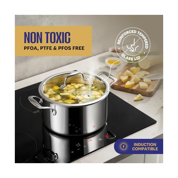 Legend cookware 3 ply stainless steel pots and pans set 11 piece wglass lids non toxic induction oven safe best 188 full clad premium kitchen cooking chef quality pfoa ptfe pfos free  urban country home decor
