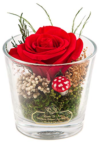 Rosen-Te-Amo, Geschenk für sie || Valentinstag konservierte ewige rote Rose im Glas | duftend | handgefertigt Foliage|| Infinity Rosen: Deko & Geschenke für Frauen Cover