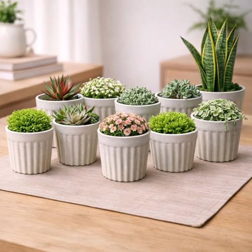 Image of Go Hooked Plastic Flower Pot for Indoor Plants (4 Inch, Pack of 10) | Decorative Ribbed Planter for Home, Office, Desk & Tabletop | Marble Finish Modern Indoor Plant Pot for Succulents & Small Plants