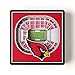 YouTheFan NFL Arizona Cardinals 3D StadiumView Magnets - State Farm Stadium