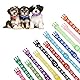 tonyg-p 12 Stück Welpenhalsbänder Welpen ID Kragen Einstellbare Schnellverschluss Reflektierende Haustier Halsband Katzenhalsbänder Weiches Nylon Verstellbar für kleine Hunde (M,21-32cm)