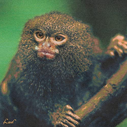 Play Land by The Vague on