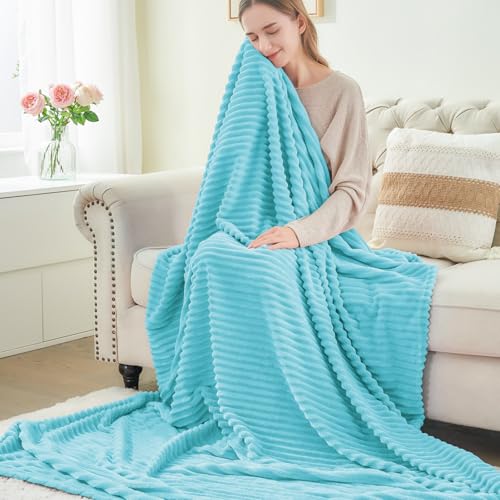 Image of BEDELITE Fleece Throw Blanket for Couch - 3D Ribbed Jacquard Soft and Warm Decorative Fuzzy Blanket - Cozy, Fluffy, Plush Lightweight Light Blue Throw Blankets for Bed, Sofa, 50x60 inches