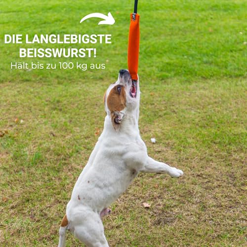 Bull Fit Baumwolle-Nylon Beisswurst für Hunde, 30 cm mit Handschlaufe - Sehr Robustes Hundespielzeug für Training IGP IPO Schutzhund, Hundesport, Tauziehen und Zerrspiele mit Hund