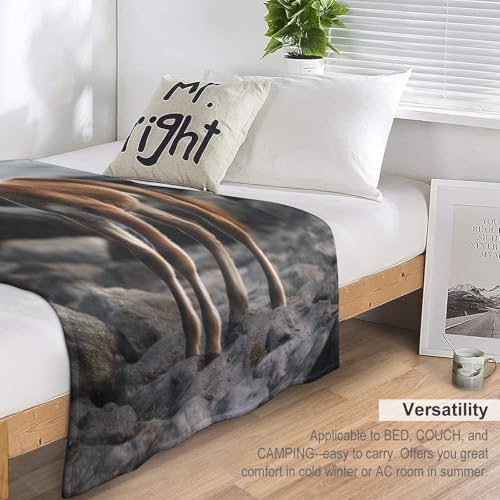 Couverture polaire cheval 130x150cm plaid canape et lit - 7