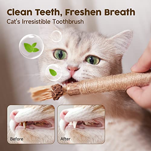 Potaroma 3 Pack Natural Silvervine Sticks Cat Toys, Catmint Silvervine Blend Sticks, Catnip Kittens Chew Toys Teeth Cleaning, Matatabi Dental Care Cat Treat Edible Kitty Lick Toys, Package May Vary | Kittens Chew Toys for Teeth Cleaning, Matatabi Dental Care Cat Treat, Edible Kitty Lick Toys - Image 5