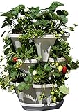 3 Tier Stackable Garden,Indoor,Outdoor Vertical Planter Set,Self Watering Tiers From Top Down,Smart Planting Pots,Used for Strawberries Herbs Peppers Flowers and Succulents (Stone)