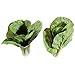 Produktbild DekoWoerner Pak Choi 20cm lang 2er Pack