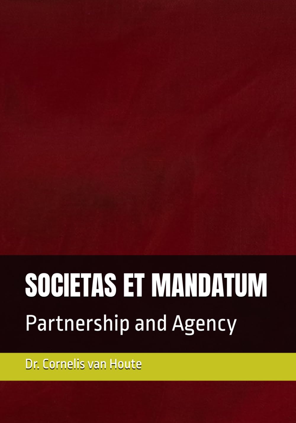 SOCIETAS ET MANDATUM: Partnership and Agency: 9 (Roman Law Series)