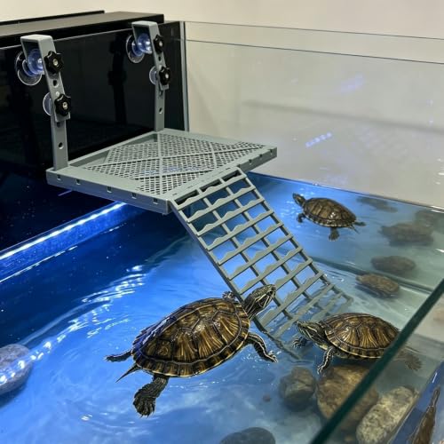 Muelle de asoleamiento elevado y antideslizante para tortugas acuáticas 4