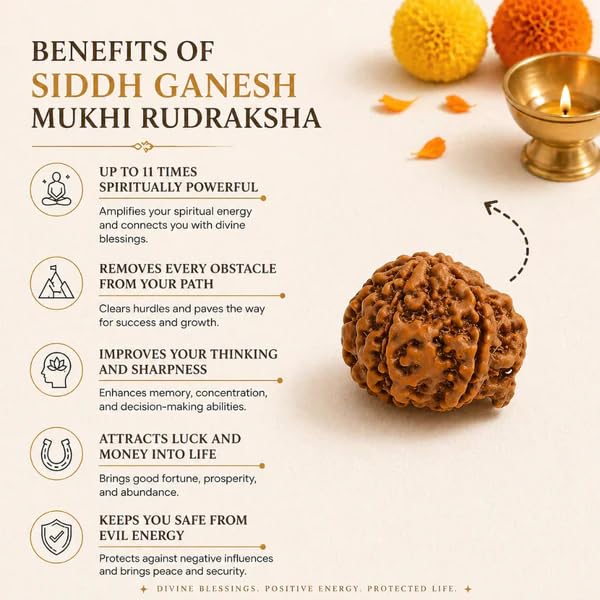 Image of Natural Seven Face Rudraksha Bead for Puja, Japa, Meditation & Spiritual Practices | Authentic Rudraksh for Men & Women (Siddh Ganesh Mukhi Rudraksha)