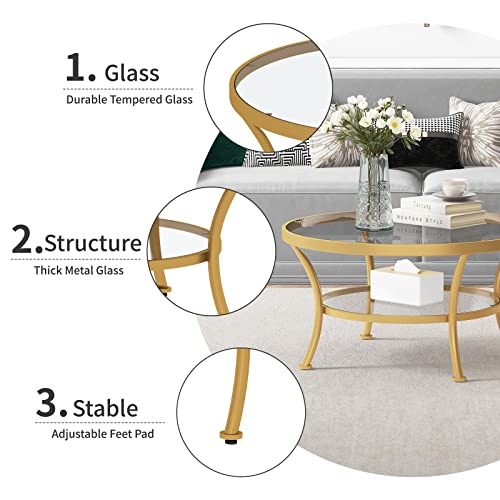 O&K Furniture Modern Round Coffee Table With Storage, 2-Tier Glass Top Coffee Table For Living Room, Gold #TOP3