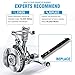 Maxorber Rear Left & Right Struts Shocks Absorber Kit Compatible with Odyssey 2005 2006 2007 2008 2009 2010 shocks Absorber 349105