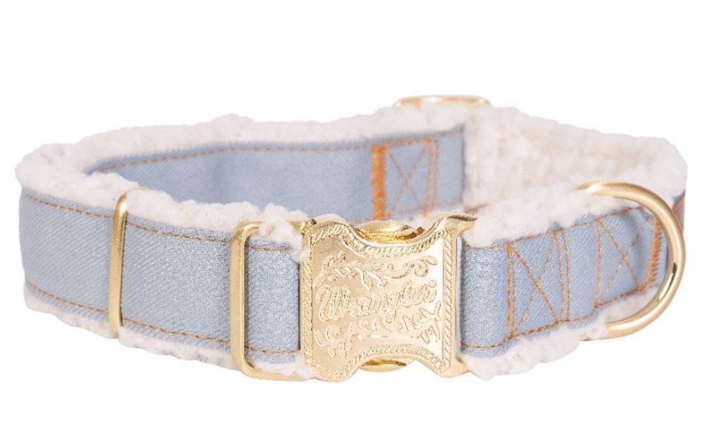 Collier pour chien en denim parfait pour les balades matinales en ville