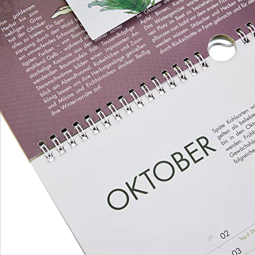 Saatgut Kalender 2023: Premium Garten Kalender 2023, 24 Sorten Gemüse Samen, Kräuter, Obst, Blumen – Garten Wandkalender, OwnGrown Jahreskalender 2023 - Image 7